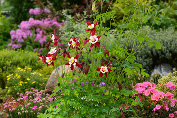 Garten 594
