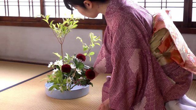 華道／生け花をする着物姿の女性の後ろ姿