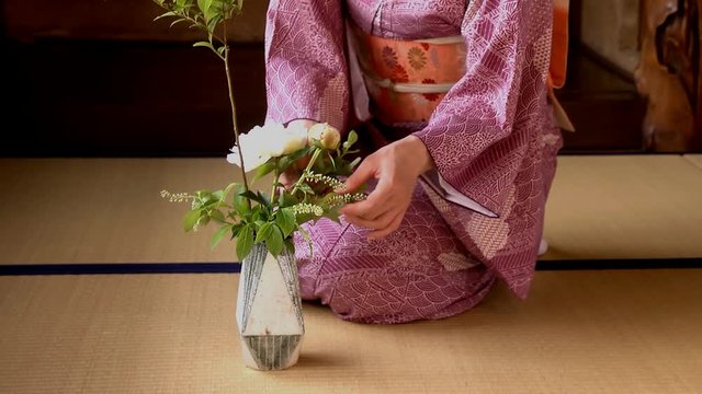 華道／生け花をする着物姿の女性