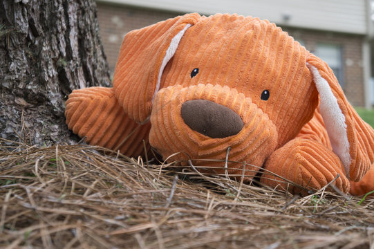 Orange Stuffed Animal Plush Dog Toy