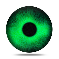 Isolated realistic green eye pupil against white background