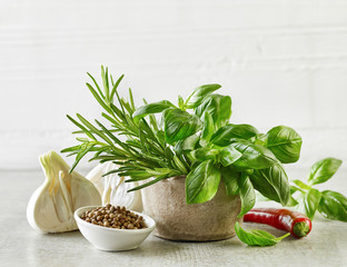 fresh herbs and spices