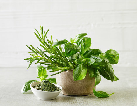 Fresh And Dried Herbs