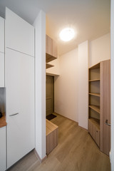 Corridor, hall room in a modern house.
