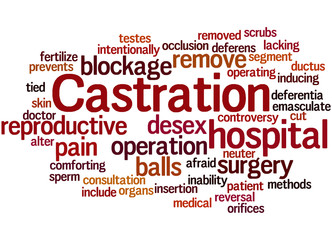 Castration, word cloud concept 9