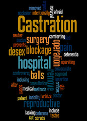 Castration, word cloud concept