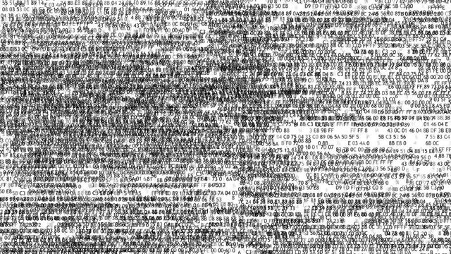 Concept of computer security. The skull of the hexadecimal code. Pirate online. Cyber criminals. Hackers cracked the code.