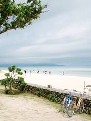 Naklejka premium 秋の北海道 