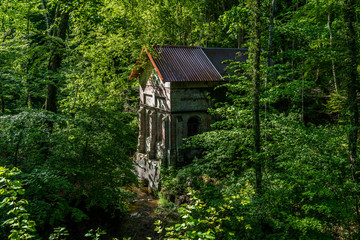 Fototapeta na wymiar Dichter Wald um alte Mühle am Burgleitenbach in der Pähler Schlucht