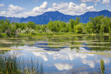 Naklejka na ściany i meble Walden Pond Reflections in Boulder Colorado