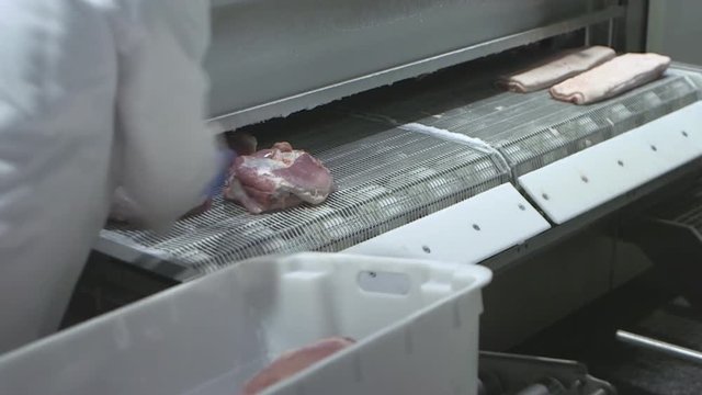 Meat process workers placing pieces of meat on the freezing.
