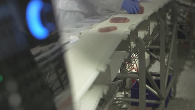 Conveyer belt workers sorting pork escalopes in boxes.