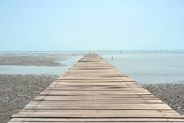 wooden jetty on mangrove forest