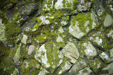 Wild stone wall with green moss
