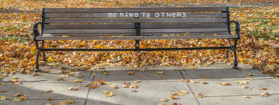 A brown bench in the park with an encripted message
