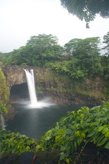Obraz premium Rainbow falls, Big island Hawaii