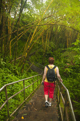 Woman travels through the jungle