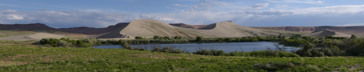 Bruneau Sand Dunes