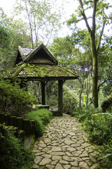 Stone Paved Path in a Tropical Garden