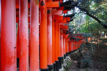 Hundreds of red Torii, Kyoto, Japan