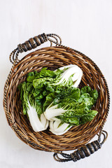 Obraz premium Bok choy