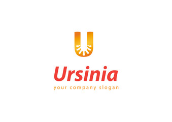 letter U logo Template for your company