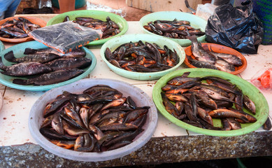 Counter with small fish on Tomohon Traditional Market
