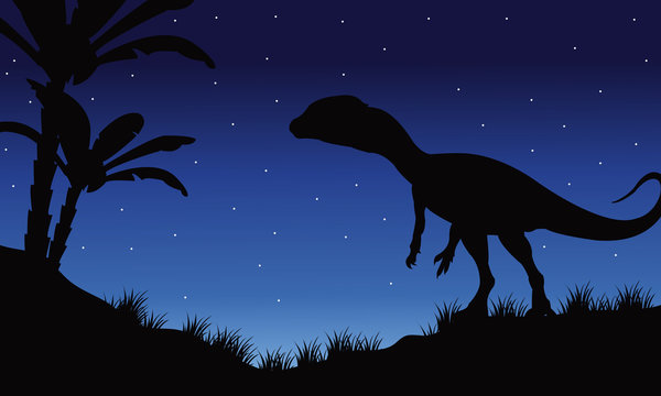 One Megapnosaurus in fields of silhouette