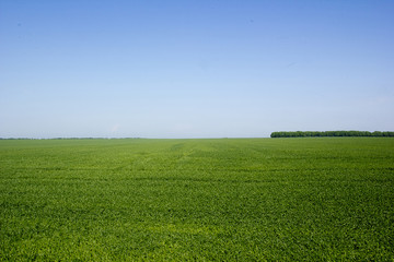 vibrant image of rural landscape