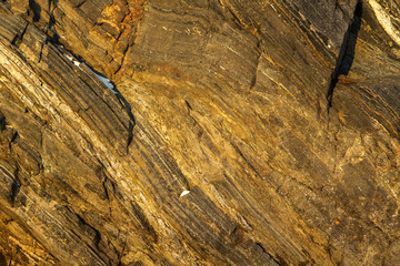 Texture of the stone cliffs.