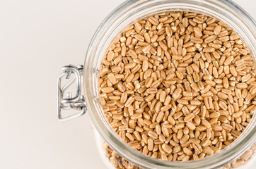 Jar with spelt