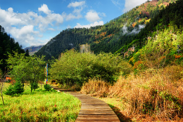 Naklejka na ściany i meble Wooden boardwalk across scenic field among wooded mountains