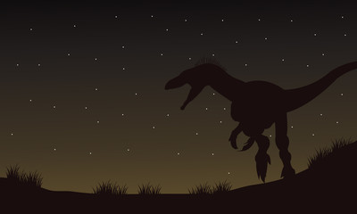 Eoraptor in fields at the night silhouette
