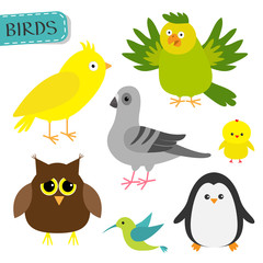 Bird set. Colibri, canary, parrot, dove, pigeon, owl, chicken, penguin. Cute cartoon characters icon. Baby animal zoo collection. Isolated. White background. Flat design.