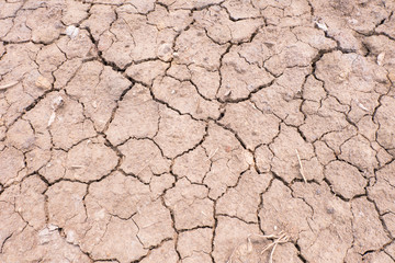 Dry cracked earth texture