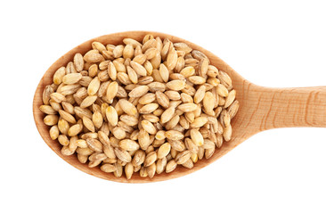Wooden spoon with pearl barley isolated on white background.