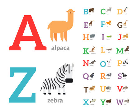 Animals alphabet or zoo alphabet colored icons. Vector illustration