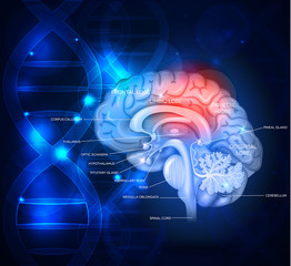 Human brain treatment concept. Abstract blue technology backgrou