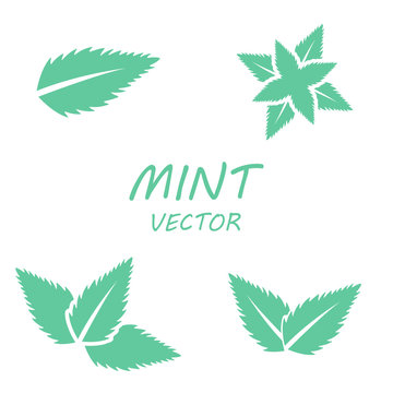 Vector flat mint icons set