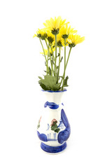 Yellow Flower in jar on white background