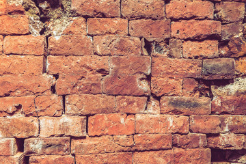 Obraz premium Old brick wall
