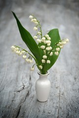 Lily of the valley on old wood. 