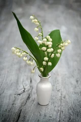 Papier Peint photo Muguet Lily of the valley on old wood. 