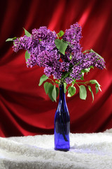 Bouquet of purple lilacs in blue vase on red draped background