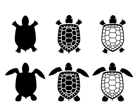 Set of turtle and tortoise icons,top view