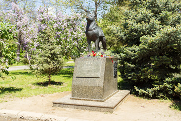 Памятник  немецкой овчарке, подрывнику танков. Волгоград