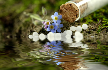  Globuli mit Blüten auf Moos mit wasserspiegelung