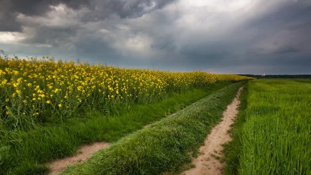 Rural countryside with path and green yellow field at stor, Time lapse