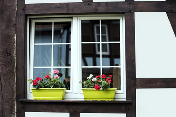 fenêtre fleurie avec reflets sur maison à colombages