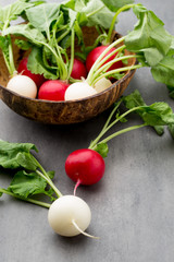 Radish fresh on the gray background.